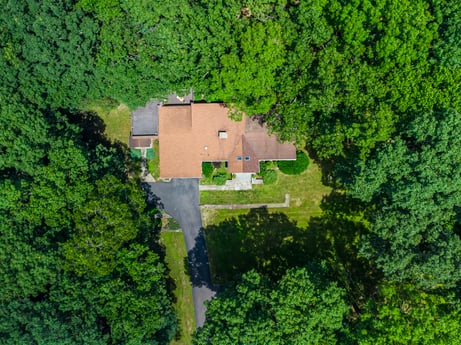 An image featuring plant, green, natural landscape, land lot, tree, watercourse, urban design, shrub, woody plant, grass at 104 Stony Mountain Rd.