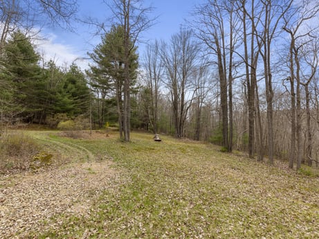 An image featuring plant, sky, plant community, ecoregion, natural landscape, tree, wood, land lot, cloud, landscape at English Hollow Ln.