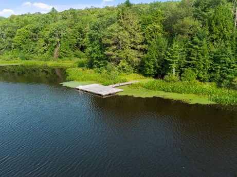 An image featuring water, plant, sky, tree, natural landscape, natural environment, fluvial landforms of streams, lake, vegetation, lacustrine plain at 84 Farley Ln.