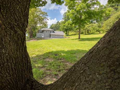 An image featuring plant, sky, building, cloud, tree, natural landscape, land lot, sunlight, wood, grass at 17899 US-6.