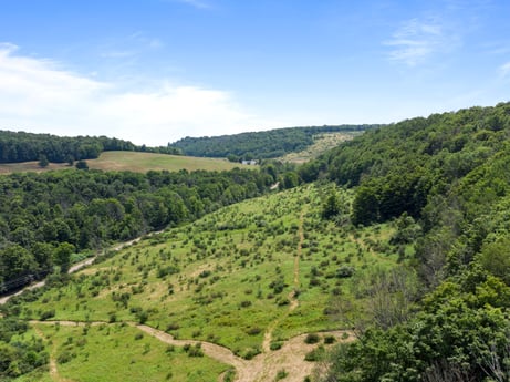 An image featuring cloud, plant, sky, natural landscape, mountain, land lot, terrain, tree, grassland, plain at 1863 Sopertown Rd.