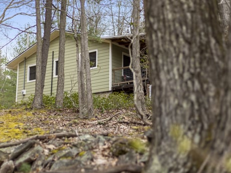An image featuring window, plant, building, sky, wood, twig, tree, house, grass, trunk at English Hollow Ln.
