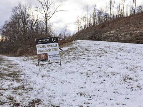 An image featuring cloud, plant, sky, tree, natural landscape, natural environment, snow, branch, grass, land lot at Hemlock Hill Rd.