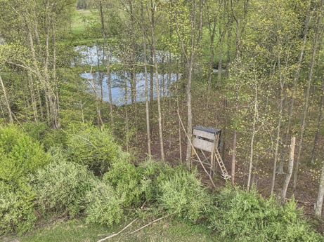 An image featuring plant, water, natural landscape, tree, terrestrial plant, watercourse, wood, riparian zone, groundcover, grass at 1195 Twin Cuts Rd.