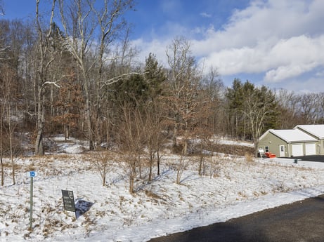 An image featuring sky, cloud, snow, plant, natural landscape, branch, tree, land lot, building, freezing at Hemlock Hill Rd.