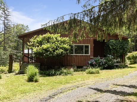 An image featuring plant, sky, window, tree, shade, natural landscape, vegetation, building, land lot, cloud at 154 Fox Run Rd.
