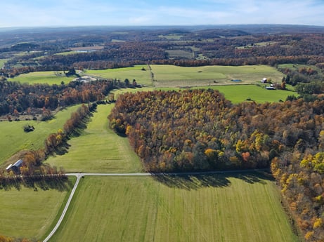 An image featuring sky, ecoregion, cloud, natural landscape, natural environment, land lot, tree, plant, plain, grassland at Moe Wilkins Rd.
