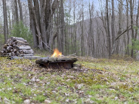 An image featuring plant, natural landscape, tree, sky, wood, biome, grass, landscape, groundcover, forest at English Hollow Ln.