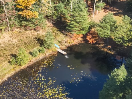 An image featuring water, water resources, plant, plant community, natural landscape, fluvial landforms of streams, branch, vegetation, watercourse, lake at 125 Rimstone Ct.