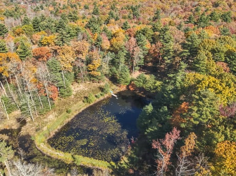 An image featuring water, plant, plant community, ecoregion, natural landscape, natural environment, tree, landscape, deciduous, mountainous landforms at 125 Rimstone Ct.
