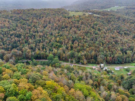 An image featuring plant, plant community, ecoregion, sky, natural landscape, mountain, tree, highland, land lot, landscape at Nordmont Rd.