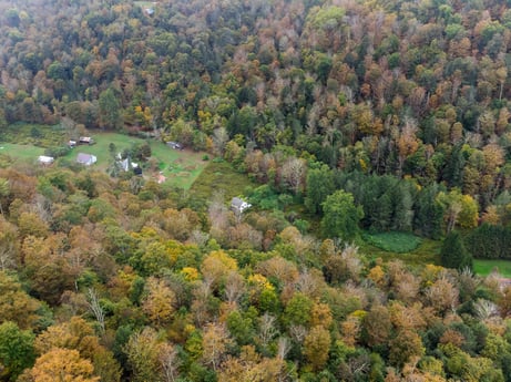 An image featuring plant, plant community, ecoregion, natural landscape, tree, larch, land lot, grassland, landscape, mountainous landforms at Nordmont Rd.
