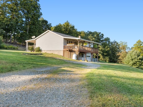 An image featuring plant, sky, building, window, tree, natural landscape, house, land lot, cottage, residential area at 62 Leons Rd.