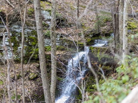 An image featuring water, plant, plant community, ecoregion, fluvial landforms of streams, natural landscape, branch, waterfall, tree, wood at English Hollow Ln.