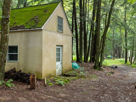 An image featuring plant, building, window, tree, wood, natural landscape, land lot, house, biome, grass at 459 Pine Hill Dr.