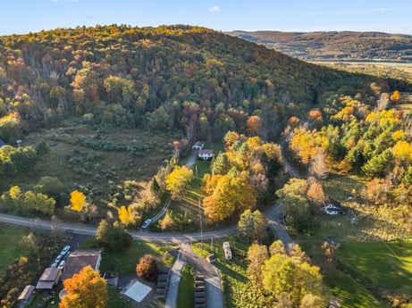 An image featuring sky, plant, plant community, natural landscape, mountain, tree, larch, vegetation, sunlight, yellow at 2266 Liberty Corners Rd.