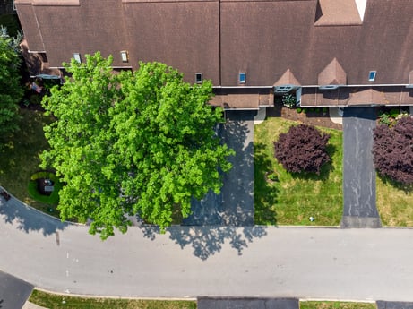 An image featuring daytime, property, plant community, plant, road surface, land lot, urban design, grass, neighbourhood, asphalt at 2678 Haas Ln.