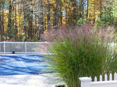 An image featuring plant, leaf, branch, natural landscape, tree, wood, grass, woody plant, fence, groundcover at 125 Rimstone Ct.