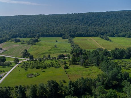 An image featuring plant, sky, ecoregion, natural environment, natural landscape, highland, tree, land lot, vegetation, grass at 17899 US-6.