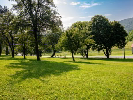 An image featuring cloud, plant, sky, daytime, green, leaf, natural landscape, branch, tree, people in nature at 17899 US-6.