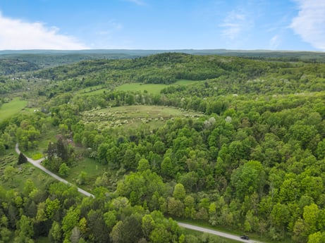 An image featuring cloud, sky, plant, plant community, natural landscape, highland, land lot, tree, grass, plain at County Line Rd.