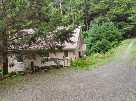 An image featuring plant, window, tree, building, natural landscape, house, land lot, road surface, grass, landscape at 459 Pine Hill Dr.
