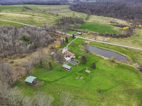 An image featuring plant, property, ecoregion, natural landscape, highland, land lot, tree, vegetation, slope, biome at 1569 S Macafee Rd.