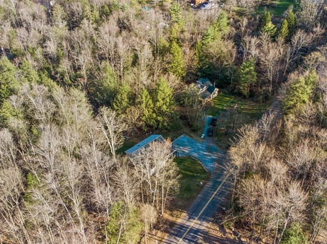 An image featuring plant, plant community, natural landscape, watercourse, groundcover, grass, riparian zone, landscape, shrub, grassland at 1061 Muncy St.