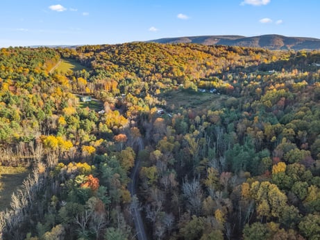 An image featuring sky, cloud, plant, natural landscape, tree, larch, terrain, mountain, landscape, deciduous at 2266 Liberty Corners Rd.