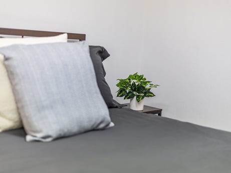 An image featuring plant, comfort, rectangle, wood, grey, couch, pillow, floor, flooring, hardwood at 104 Stony Mountain Rd.