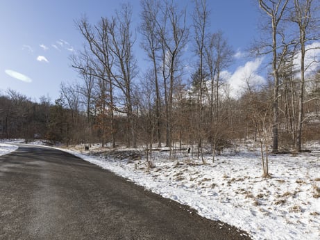 An image featuring cloud, sky, snow, natural landscape, natural environment, branch, plant, tree, road surface, wood at Hemlock Hill Rd.