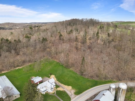 An image featuring cloud, sky, plant community, ecoregion, plant, land lot, biome, tree, natural landscape, slope at 525 Spring Hill Rd.