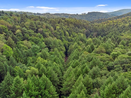 An image featuring cloud, sky, natural landscape, larch, terrestrial plant, mountain, evergreen, terrain, tree, landscape at 459 Pine Hill Dr.