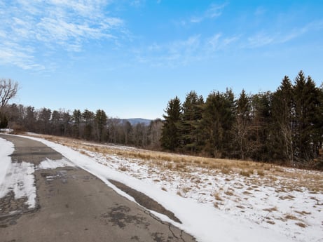 An image featuring sky, cloud, snow, plant, tree, natural landscape, road surface, asphalt, landscape, wood at Idle Wheels Ln.