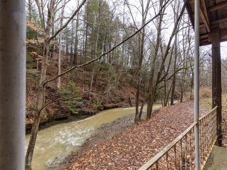 An image featuring water, natural environment, wood, branch, natural landscape, tree, vegetation, plant, twig, deciduous at 1841 Lynch Rd.