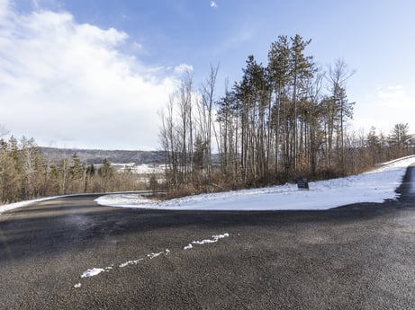 An image featuring cloud, sky, snow, plant, natural landscape, tree, road surface, asphalt, automotive tire, freezing at Hemlock Hill Rd.