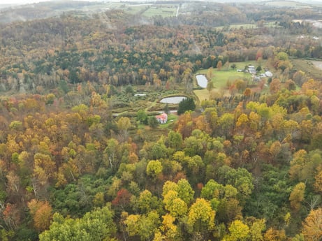 An image featuring plant, plant community, ecoregion, natural landscape, natural environment, tree, larch, sunlight, landscape, deciduous at 1160 Dougherty Rd.