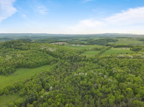 An image featuring sky, cloud, plant, natural landscape, tree, terrain, cumulus, mountainous landforms, grass, horizon at County Line Rd.