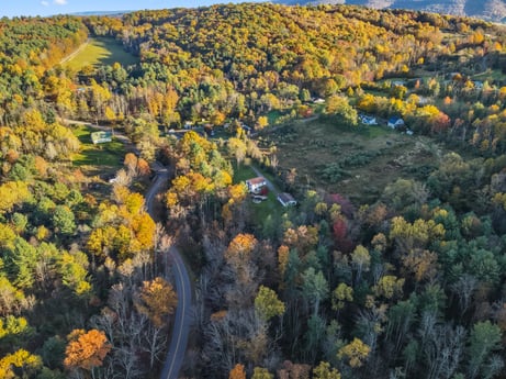An image featuring plant community, ecoregion, plant, natural environment, natural landscape, sky, flower, larch, grass, landscape at 2266 Liberty Corners Rd.