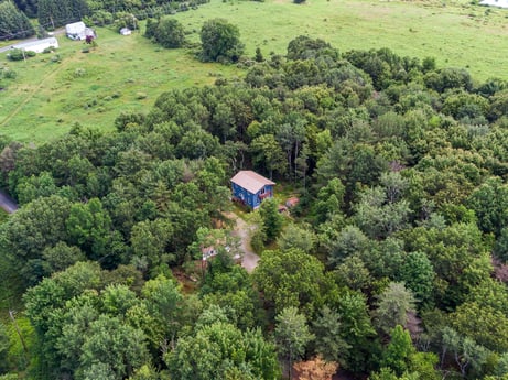 An image featuring plant community, plant, leaf, natural environment, tree, natural landscape, land lot, biome, residential area, landscape at 145 Nichols Ln.