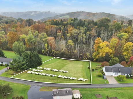 An image featuring cloud, plant, sky, botany, tree, land lot, natural landscape, mountain, grass, grassland at Country View Dr.