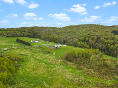 An image featuring cloud, sky, plant, natural landscape, tree, slope, grass, landscape, grassland, mountain at 993 Dieffenbach Rd.