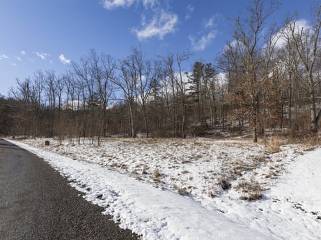 An image featuring cloud, sky, snow, plant, natural landscape, branch, wood, tree, freezing, grass at Hemlock Hill Rd.