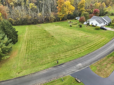 An image featuring plant, leaf, natural landscape, tree, land lot, slope, grass, grassland, asphalt, hedge at Country View Dr.
