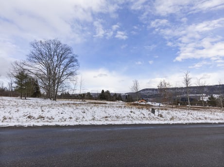 An image featuring cloud, sky, plant, natural landscape, snow, branch, tree, asphalt, road surface, wood at Hemlock Hill Rd.