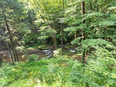 An image featuring plant, ecoregion, natural landscape, water, terrestrial plant, tree, wood, trunk, riparian zone, fluvial landforms of streams at 459 Pine Hill Dr.