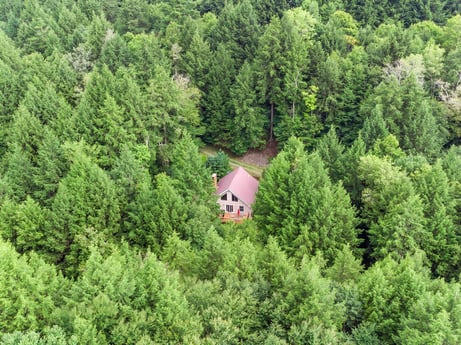 An image featuring plant, larch, tree, house, natural landscape, evergreen, woody plant, groundcover, landscape, shrub at 459 Pine Hill Dr.