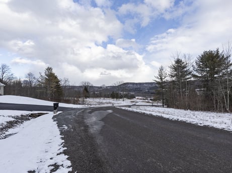 An image featuring cloud, sky, snow, natural landscape, tree, highland, road surface, plant, asphalt, landscape at Hemlock Hill Rd.