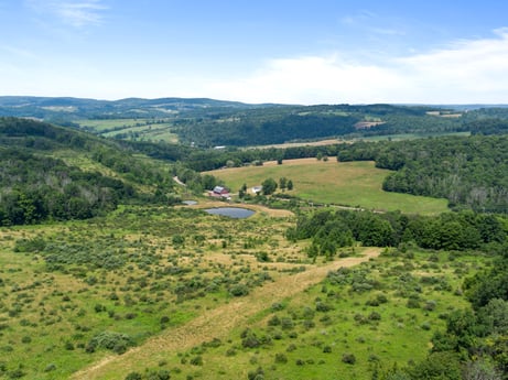 An image featuring sky, cloud, plant, natural landscape, terrain, tree, plain, road, landscape, mountain at 1863 Sopertown Rd.