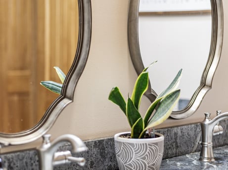 An image featuring plant, photograph, houseplant, flowerpot, wood, terrestrial plant, window, grass, tints and shades, glass at 144 Milton Ln.